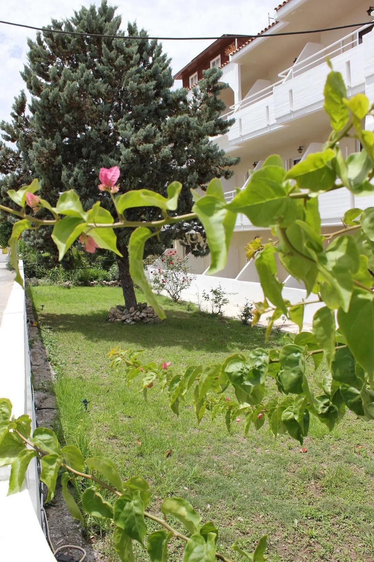 Mike's House Hotel 2*